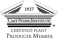 CastStone Institute Logo